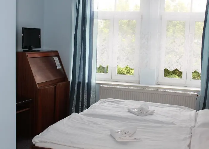 U Ceske Koruny Hotel 3*