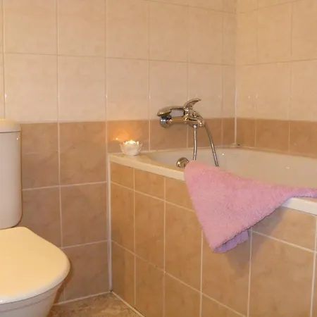U Ceske Koruny Hotel Praag