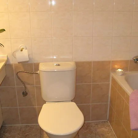 U Ceske Koruny Hotel Praag