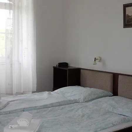 U Ceske Koruny 호텔