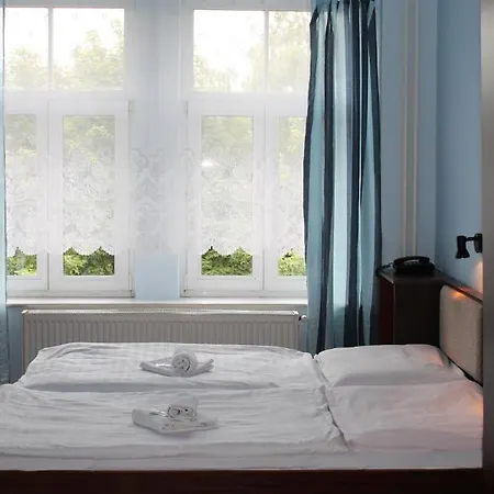 호텔 U Ceske Koruny