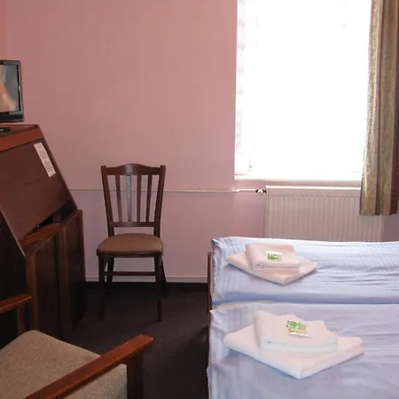 호텔 U Ceske Koruny 3*