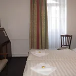 U Ceske Koruny Hotel 3*