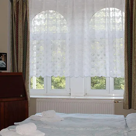 Hotel U Ceske Koruny Prague