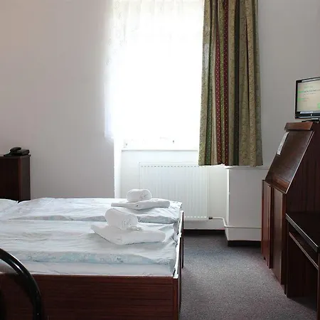 U Ceske Koruny ホテル 3*