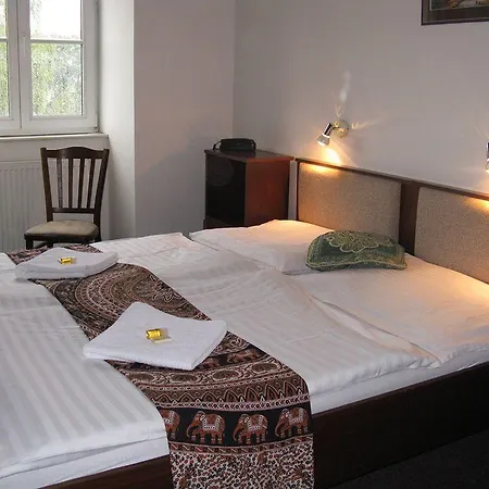U Ceske Koruny ホテル 3*