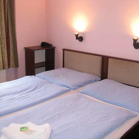 U Ceske Koruny ホテル 3*
